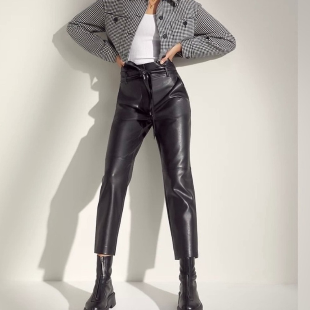 Aritzia leather pants